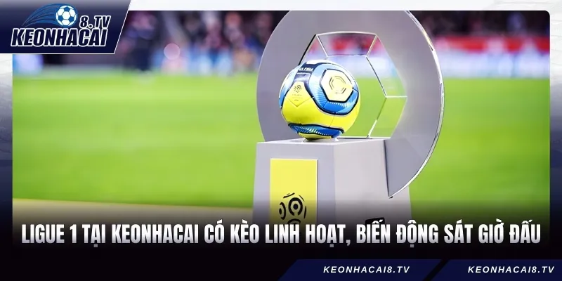 Ligue 1 tại Keonhacai có kèo linh hoạt, biến động sát giờ đấu