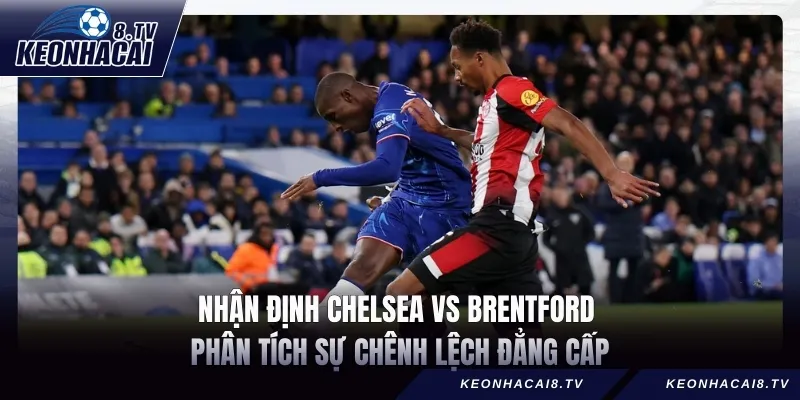 Nhận định Chelsea vs Brentford – Phân tích sự chênh lệch đẳng cấp