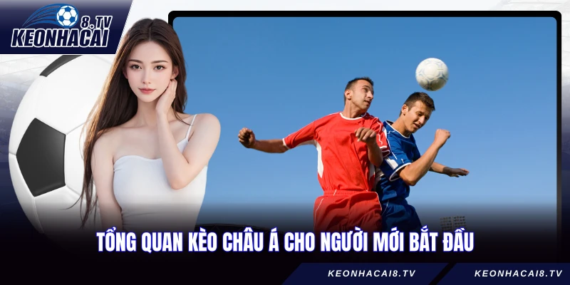Tổng quan kèo Châu Á cho người mới bắt đầu