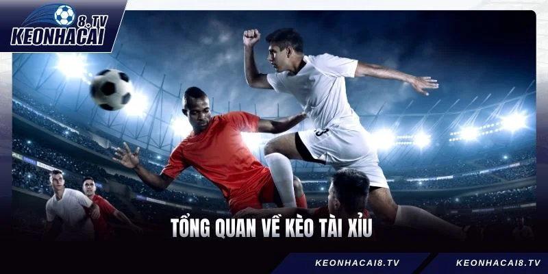 Tổng quan về kèo Tài Xỉu